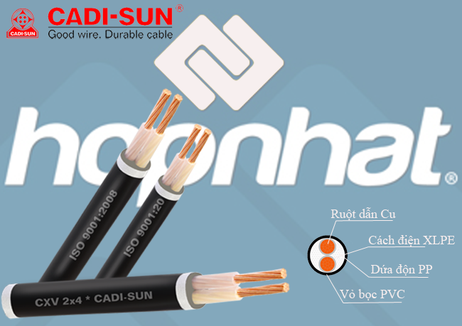 Cáp đồng 2 ruột bọc cách điện XLPE/PVC_CXV 2x70, Cáp đồng 2 ruột Cadisun CXV 2x70