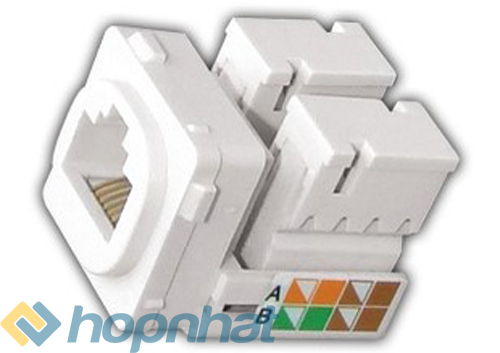 o-cam-mang-8-day-roman-seriesa-cr5808